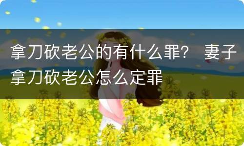 拿刀砍老公的有什么罪？ 妻子拿刀砍老公怎么定罪