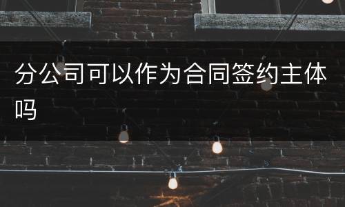 分公司可以作为合同签约主体吗