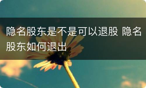 隐名股东是不是可以退股 隐名股东如何退出