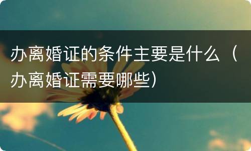 办离婚证的条件主要是什么（办离婚证需要哪些）