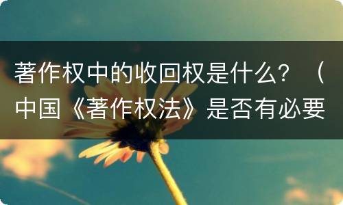 著作权中的收回权是什么？（中国《著作权法》是否有必要规定收回作品权?为什么?）