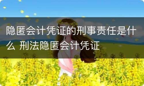 隐匿会计凭证的刑事责任是什么 刑法隐匿会计凭证