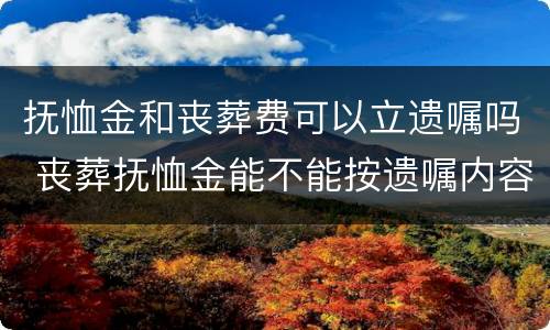 抚恤金和丧葬费可以立遗嘱吗 丧葬抚恤金能不能按遗嘱内容来