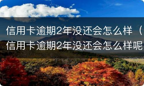 信用卡逾期2年没还会怎么样（信用卡逾期2年没还会怎么样呢）