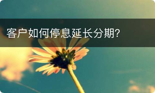 客户如何停息延长分期？