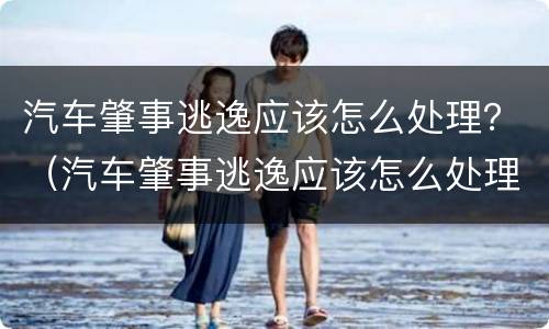 汽车肇事逃逸应该怎么处理？（汽车肇事逃逸应该怎么处理好）