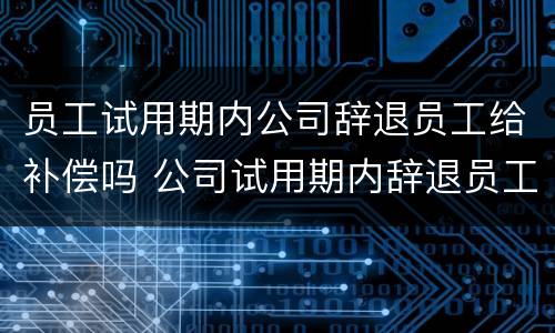 员工试用期内公司辞退员工给补偿吗 公司试用期内辞退员工有补偿吗