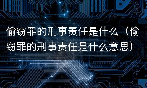 偷窃罪的刑事责任是什么（偷窃罪的刑事责任是什么意思）