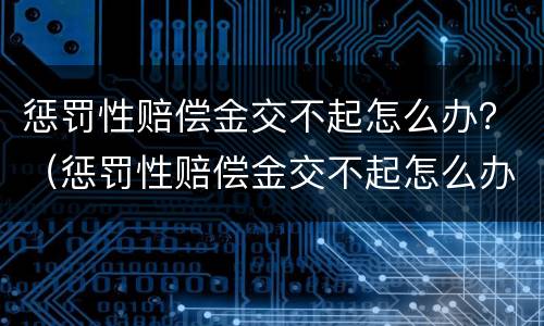 惩罚性赔偿金交不起怎么办？（惩罚性赔偿金交不起怎么办呀）