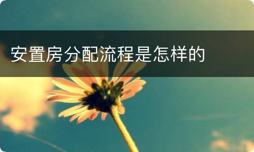 安置房分配流程是怎样的