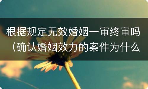 根据规定无效婚姻一审终审吗（确认婚姻效力的案件为什么一审终审）