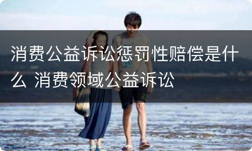 消费公益诉讼惩罚性赔偿是什么 消费领域公益诉讼