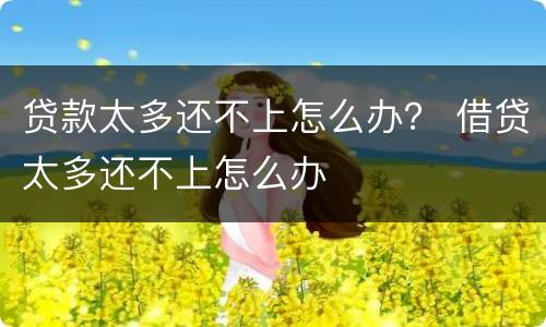 贷款太多还不上怎么办？ 借贷太多还不上怎么办