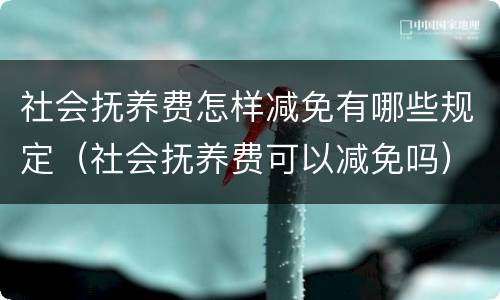 社会抚养费怎样减免有哪些规定（社会抚养费可以减免吗）