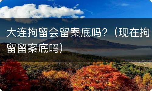 大连拘留会留案底吗?（现在拘留留案底吗）