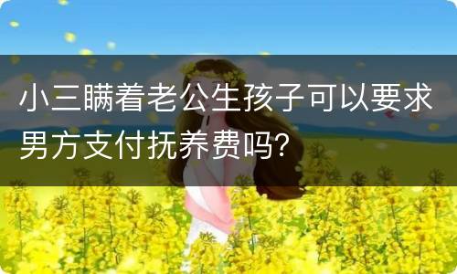 小三瞒着老公生孩子可以要求男方支付抚养费吗？