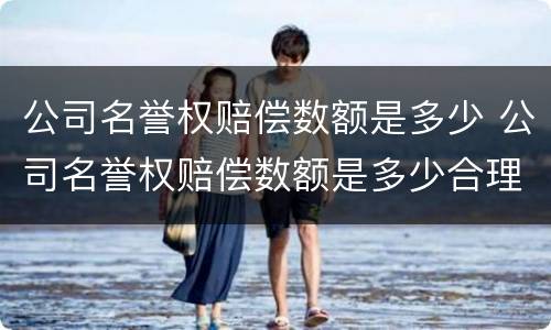公司名誉权赔偿数额是多少 公司名誉权赔偿数额是多少合理