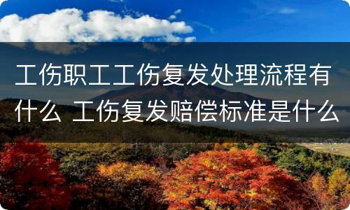 工伤职工工伤复发处理流程有什么 工伤复发赔偿标准是什么