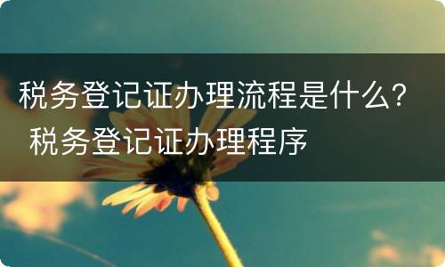 税务登记证办理流程是什么？ 税务登记证办理程序