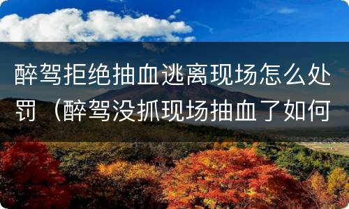 醉驾拒绝抽血逃离现场怎么处罚（醉驾没抓现场抽血了如何处理）