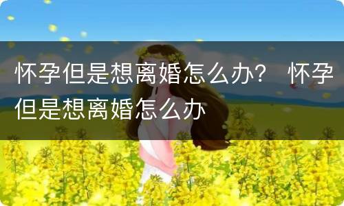 怀孕但是想离婚怎么办？ 怀孕但是想离婚怎么办