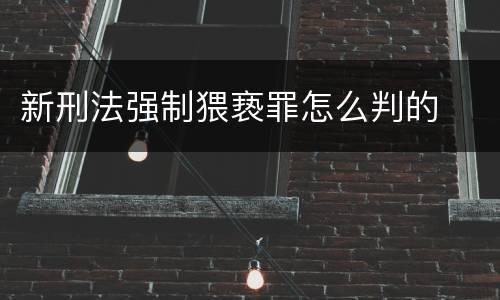 新刑法强制猥亵罪怎么判的