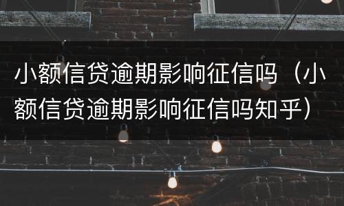小额信贷逾期影响征信吗（小额信贷逾期影响征信吗知乎）