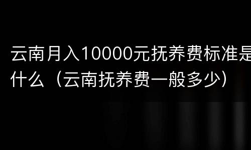 云南月入10000元抚养费标准是什么（云南抚养费一般多少）