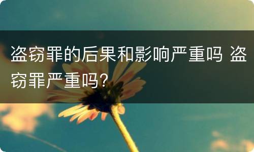盗窃罪的后果和影响严重吗 盗窃罪严重吗?