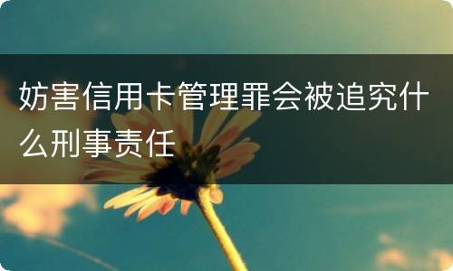妨害信用卡管理罪会被追究什么刑事责任