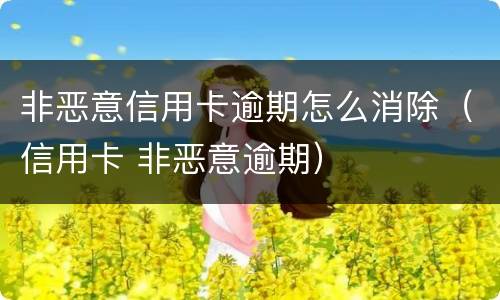 非恶意信用卡逾期怎么消除（信用卡 非恶意逾期）