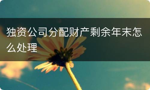 独资公司分配财产剩余年末怎么处理