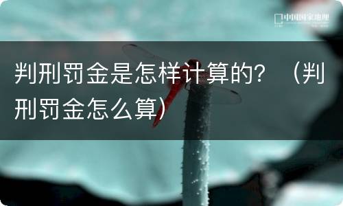 判刑罚金是怎样计算的？（判刑罚金怎么算）