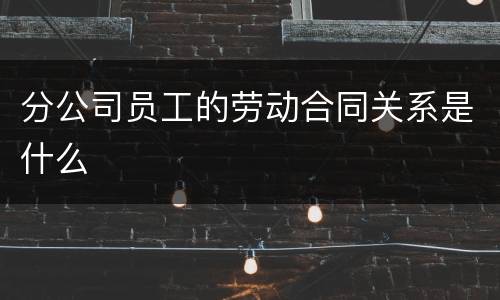分公司员工的劳动合同关系是什么