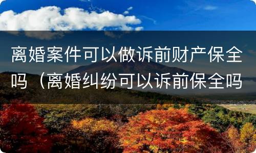 离婚案件可以做诉前财产保全吗（离婚纠纷可以诉前保全吗）