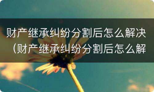 财产继承纠纷分割后怎么解决（财产继承纠纷分割后怎么解决问题）