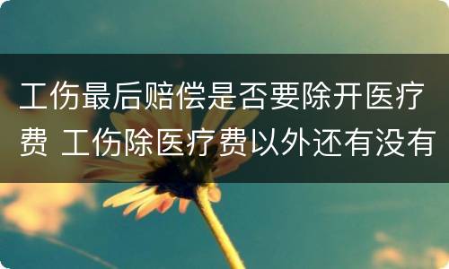 工伤最后赔偿是否要除开医疗费 工伤除医疗费以外还有没有赔偿