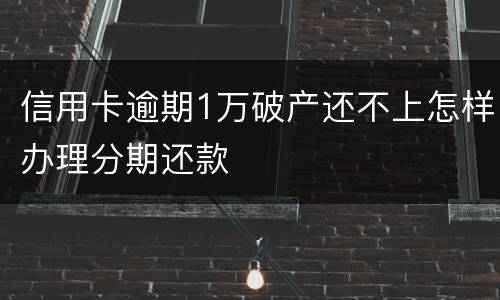 信用卡逾期1万破产还不上怎样办理分期还款