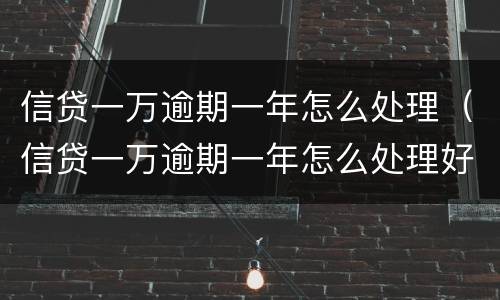 信贷一万逾期一年怎么处理（信贷一万逾期一年怎么处理好）