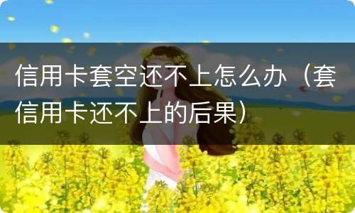 信用卡套空还不上怎么办（套信用卡还不上的后果）