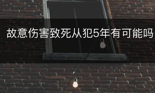 故意伤害致死从犯5年有可能吗