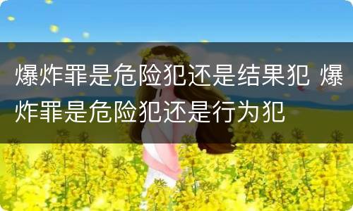 爆炸罪是危险犯还是结果犯 爆炸罪是危险犯还是行为犯