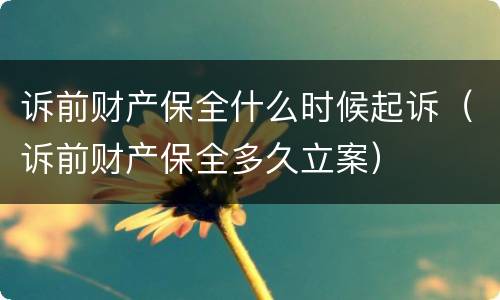 诉前财产保全什么时候起诉（诉前财产保全多久立案）