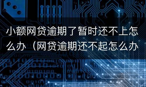 小额网贷逾期了暂时还不上怎么办（网贷逾期还不起怎么办）