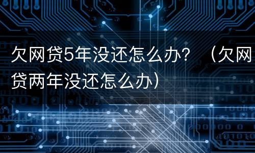 欠网贷5年没还怎么办？（欠网贷两年没还怎么办）