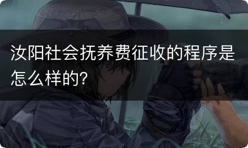 汝阳社会抚养费征收的程序是怎么样的？