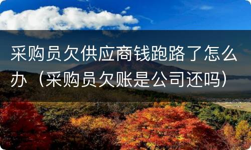 采购员欠供应商钱跑路了怎么办（采购员欠账是公司还吗）