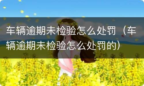车辆逾期未检验怎么处罚（车辆逾期未检验怎么处罚的）