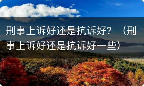 刑事上诉好还是抗诉好？（刑事上诉好还是抗诉好一些）