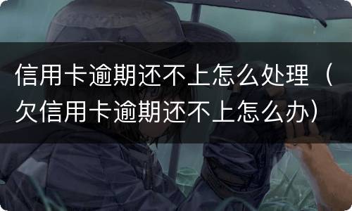 信用卡逾期还不上怎么处理（欠信用卡逾期还不上怎么办）